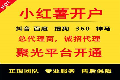 SEO策略在电商平台的成功应用案例